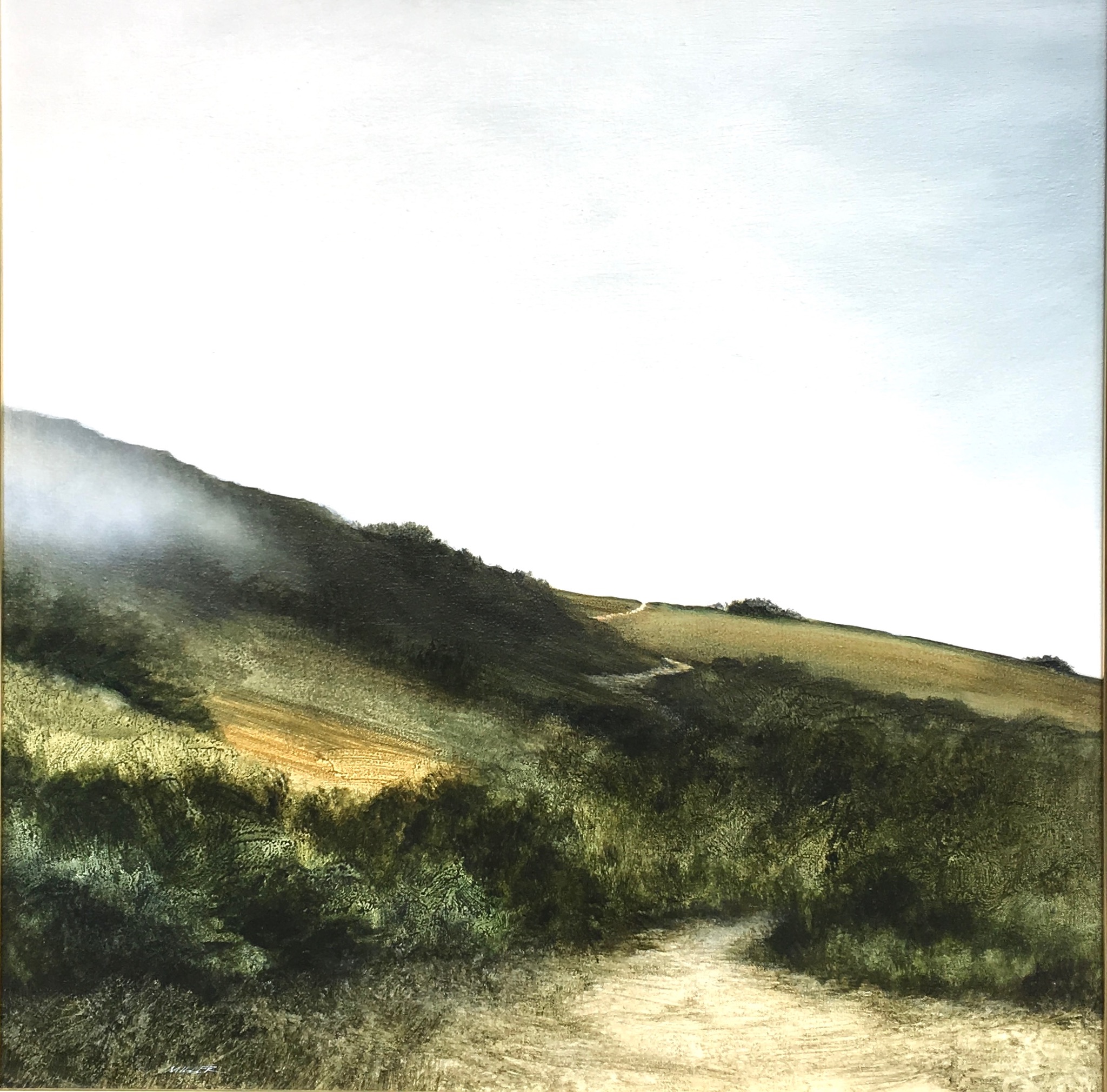 A grassy hillside with a dirt trail in the foreground